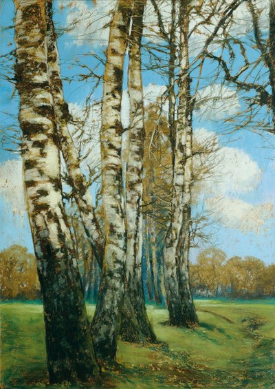 Bouleaux - Ferdinand Engelmuller
