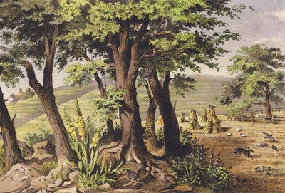 Août - Ferdinand Karl Klimsch