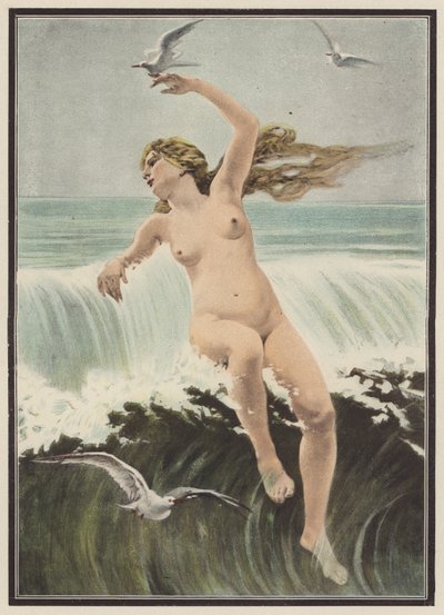 Vagues et mouettes - Ferdinand Victor Eugene (after) Delacroix