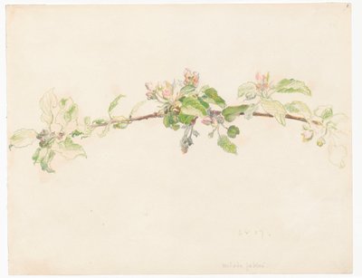 Branche de pommier en fleurs - Ferdynand Ruszczyc