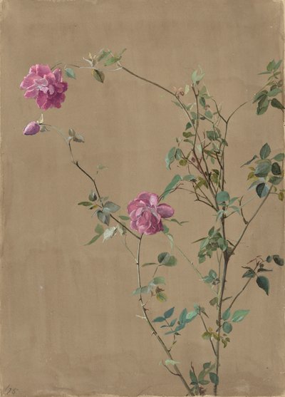 Roses roses - Fidelia Bridges