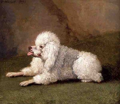 Un caniche belge - Filippo Hackert