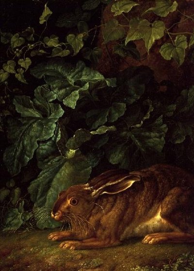 Un lièvre dans les sous-bois - Filippo Hackert