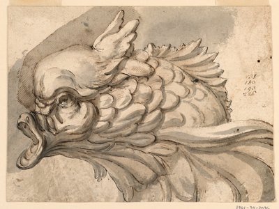 Dessin, Tête de dauphin, vers 1775 - Filippo Marchionni