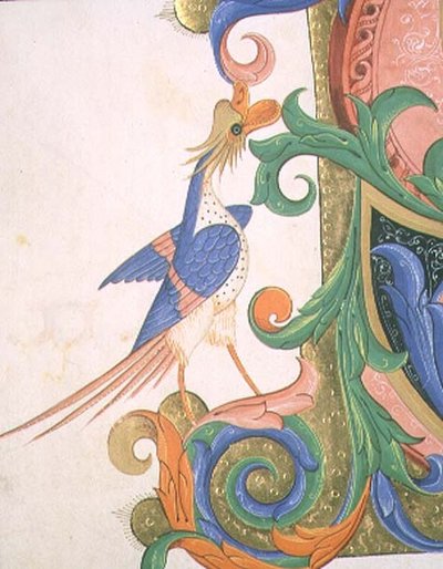 Oiseau fantastique, détail de décoration d