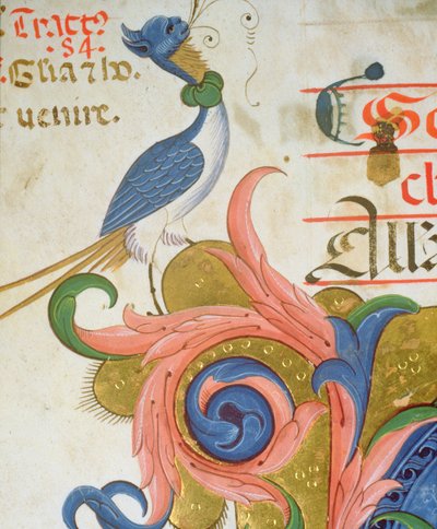 Missel 515 f.28v Oiseau fantastique avec tête humaine (détail d