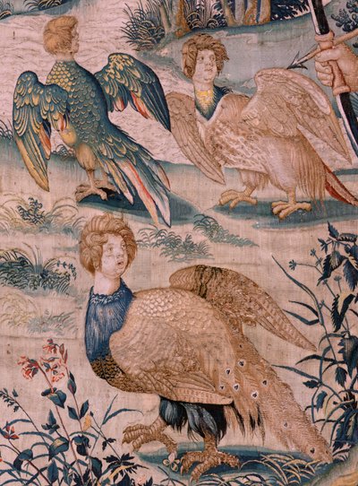 Hercule et les oiseaux du lac Stymphale (série Les Travaux d