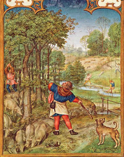 Le mois de novembre : Récolte des glands pour les porcs et chasse, du Breviarium Grimani, c.1515 - Flemish School