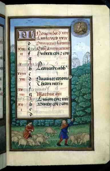 Ms 1058-1975 f.11r Garder des porcs et battre des chênes, page de calendrier illuminée pour novembre, d