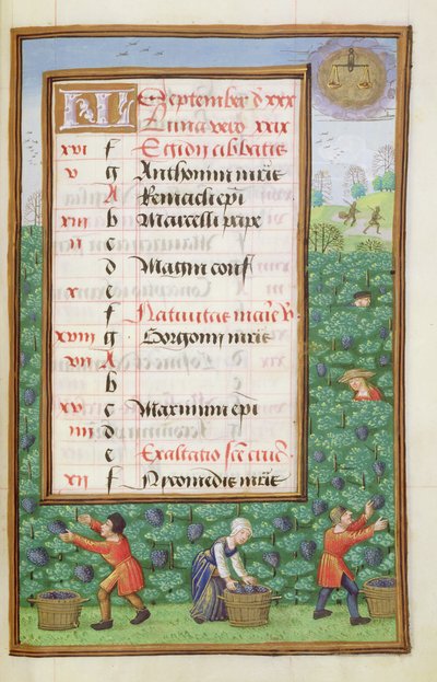 Ms 1058-1975 f9r Récolte des raisins, page de calendrier illuminée pour septembre, d