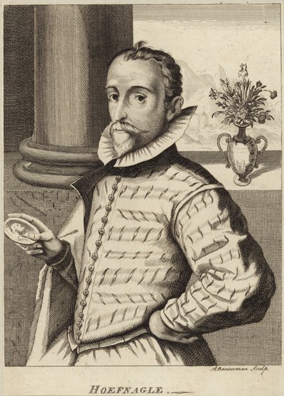 Portrait de Joris Hoefnagel - Flemish School