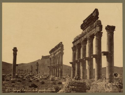 Partie de la grande colonnade, château de Qala