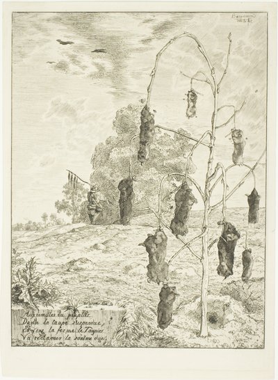 Moles - Félix Henri Bracquemond