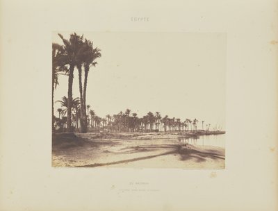 El-Nâcérah. Dattiers, Rives du Nil et Barques - Félix Teynard