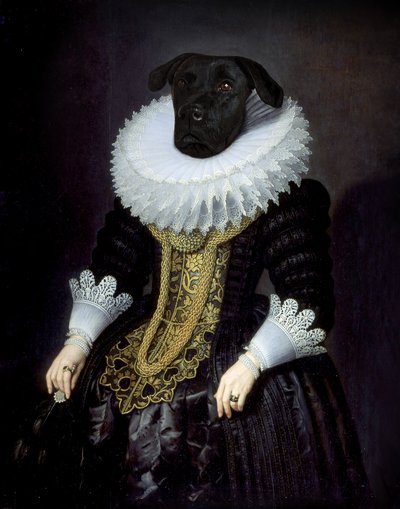 Anouk - Florent Bodart