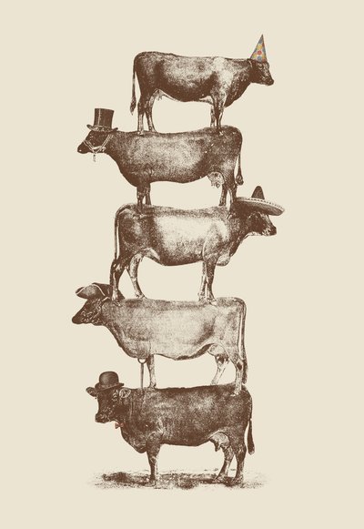 Noix de vache - Florent Bodart