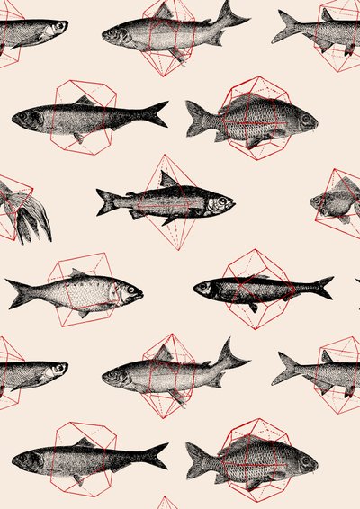 Poissons en géométrie - Florent Bodart