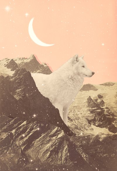 Loup géant dans les montagnes roses, 2021 (collage) - Florent Bodart