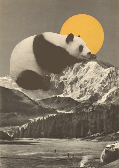 Sieste du panda dans les montagnes - Florent Bodart