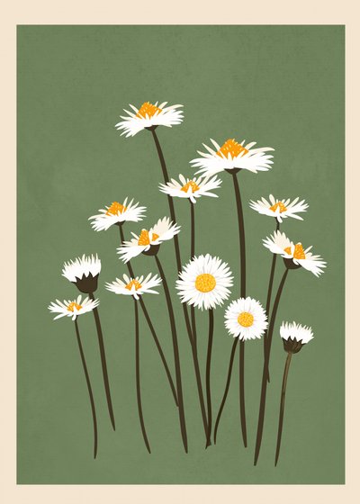 Des marguerites blanches sur fond vert - Flow Line