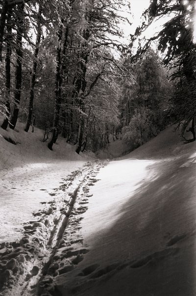 Silence et mystère - Fosco Maraini