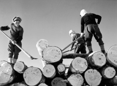 Coupeurs de bois au travail - Fosco Maraini