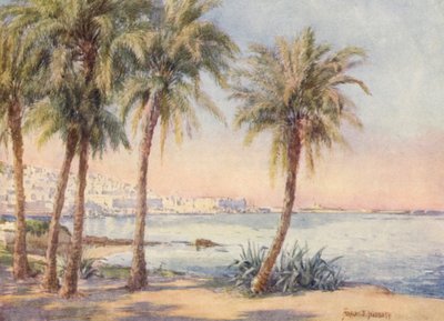 Alger depuis le Jardin d