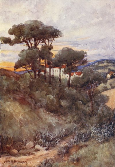 Pins Parasols, Alger - Frances Nesbitt