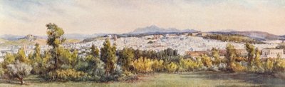 Tunis depuis le Belvédère - Frances Nesbitt