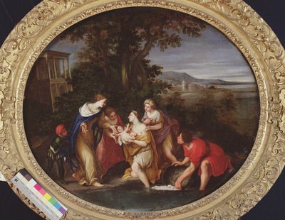 Moïse sauvé des eaux - Francesco Albani