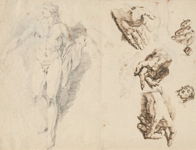 Apollon et études de la propre main de l