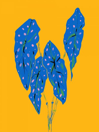  - Francesco Gulina