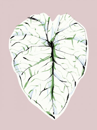  - Francesco Gulina