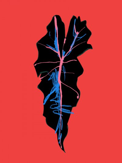  - Francesco Gulina