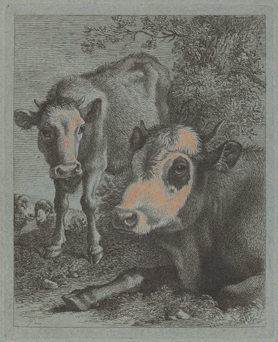 Vache et veau allongés en plein air - Francesco Londonio