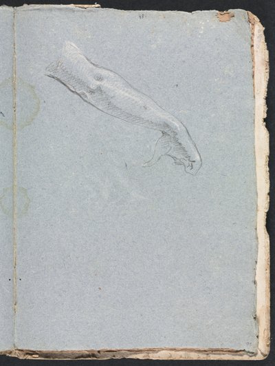Carnet de croquis de Vérone : bras droit et main page 95, 1760 - Francesco Lorenzi