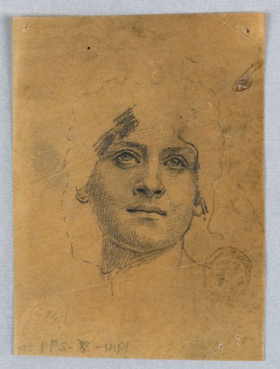 Esquisse du visage d