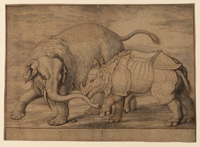 Combat entre un éléphant et un rhinocéros - Francis Barlow
