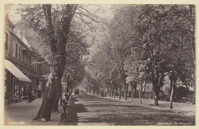Cheltenham, la Promenade - Francis Bedford