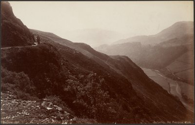Dolgelley, la promenade du précipice - Francis Bedford