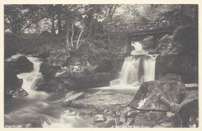 Glen Lyn, le pont rustique, 1860-94 - Francis Bedford