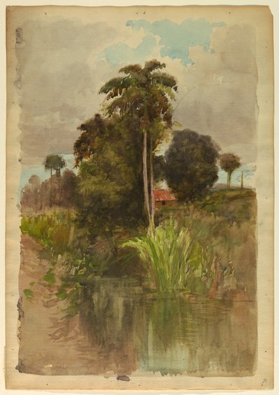Étude de palmiers - Francis Hopkinson Smith