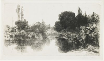 Étang de Shere Mill (La Grande Planche), 1860 - Francis Seymour Haden