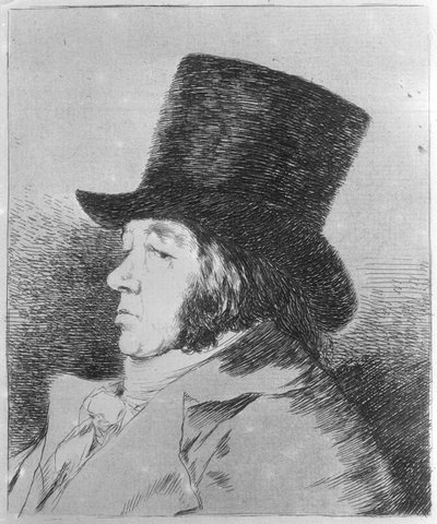  - Francisco Jose de Goya y Lucientes