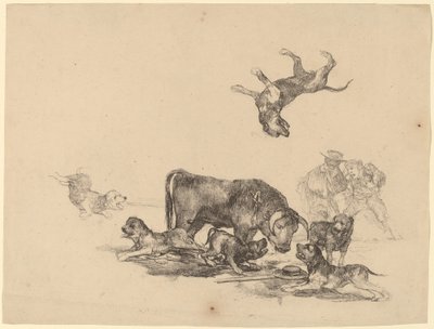 Taureau attaqué par des chiens - Francisco de Goya