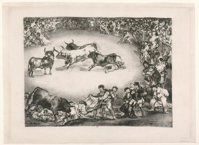 Les Taureaux de Bordeaux : Divertissement d