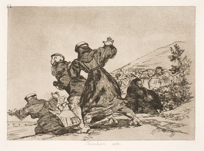 Aussi ceci (43) - Francisco de Goya