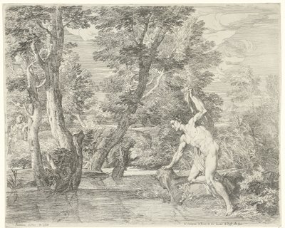 Narcisse - Franciscus de Neve