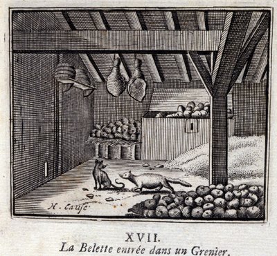 La belette entrée dans un grenier - Francois Chauveau