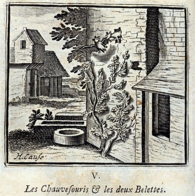 La Chauve-souris et les deux Belettes - Francois Chauveau